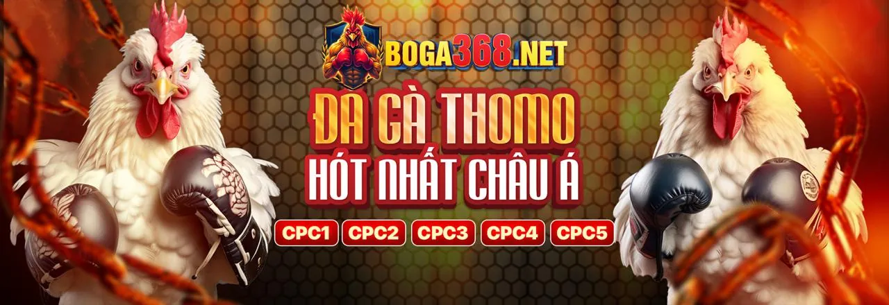 Hình ảnh giới thiệu đá gà Thomo67