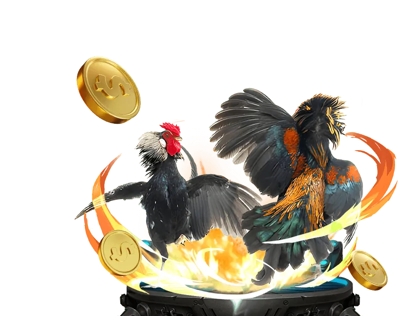 Hệ thống bảo mật và hỗ trợ khách hàng 24/7