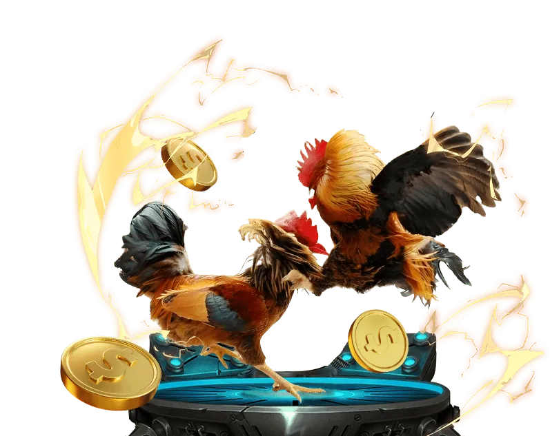 Hoàn trả cược Đá Gà Thomo67